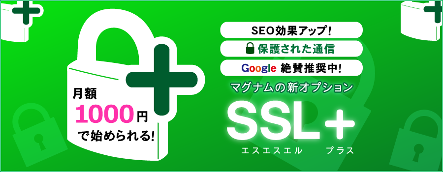 SSL 옵션 시작